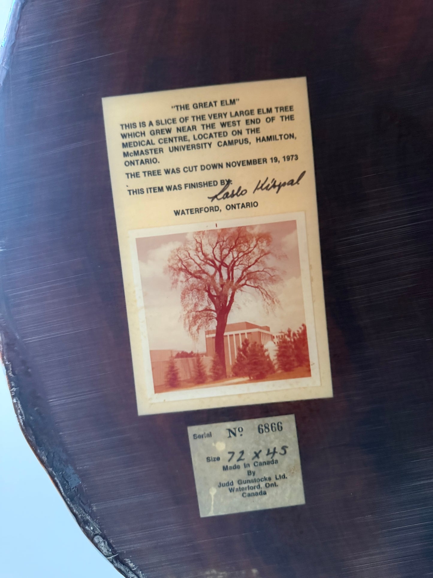 "The Great Elm" Table & Chairs by Judd Gunstock, 1973