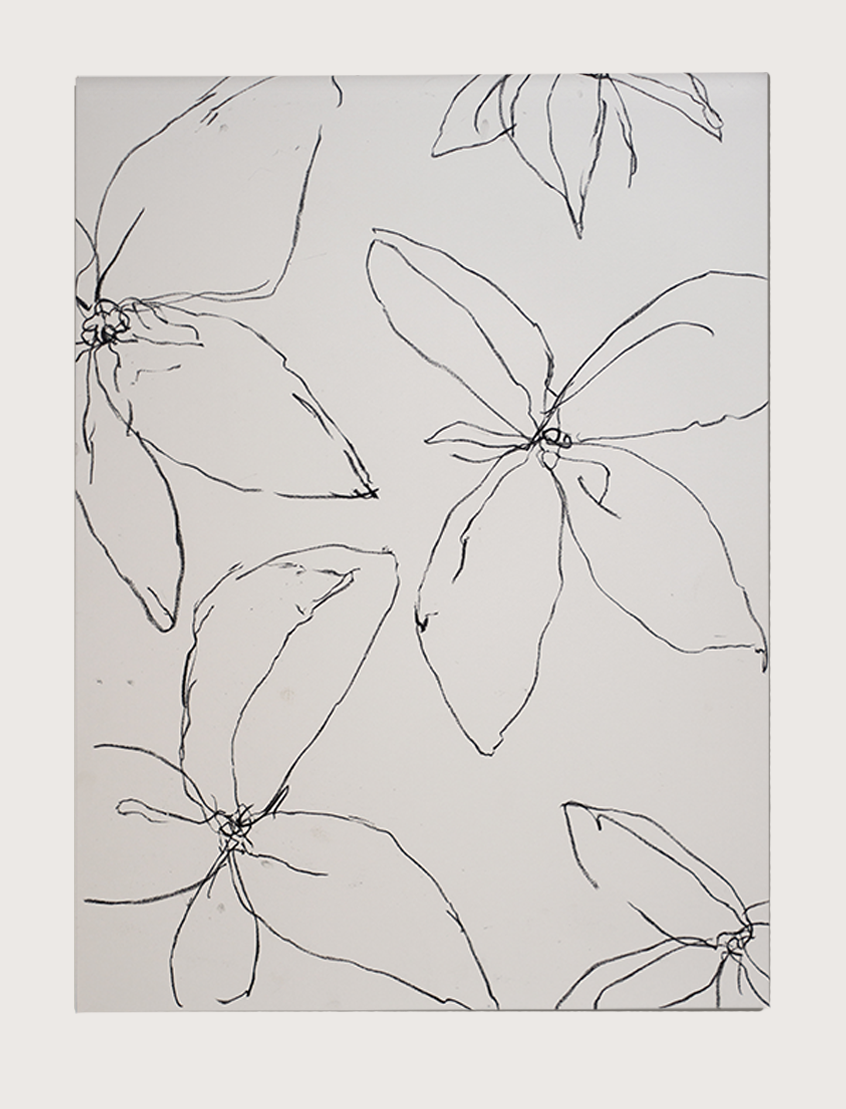 Untitled Drawing, pastel on paper, 30" x 22", 2026