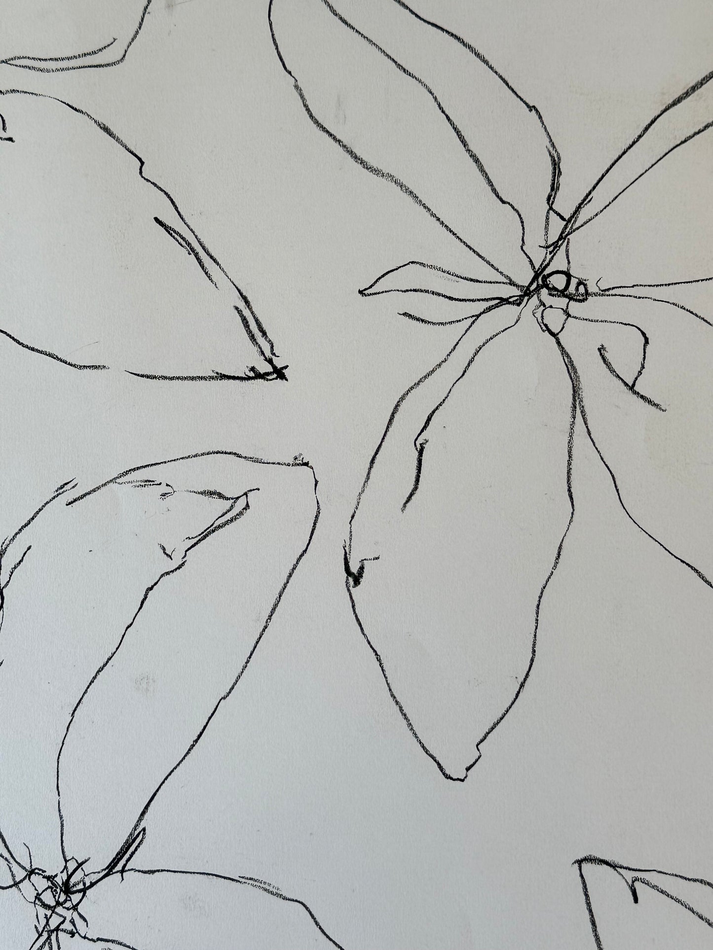 Untitled Drawing, pastel on paper, 30" x 22", 2026