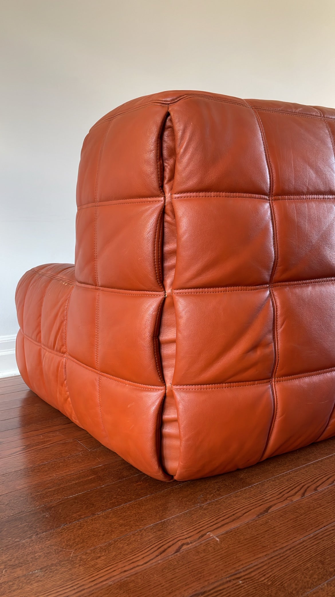 Leather Kashima Sofa by Michel Ducaroy for Ligne Roset