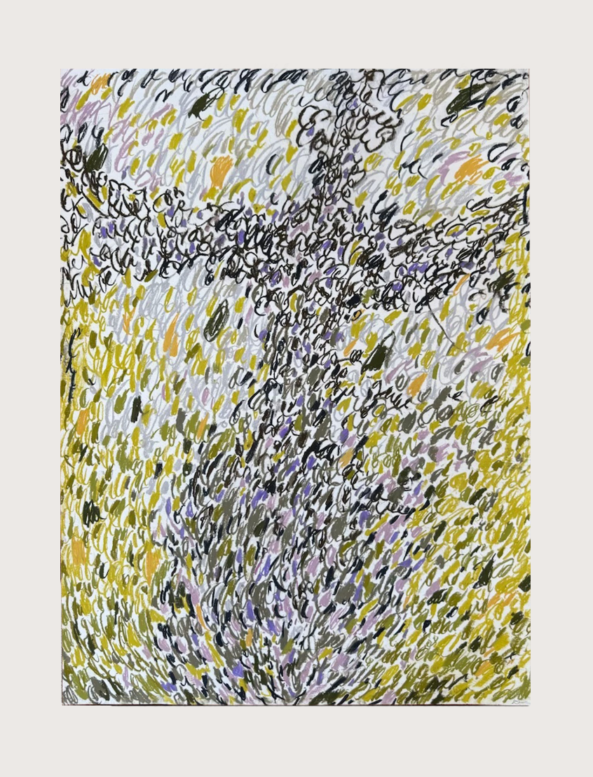 Untitled Drawing, pastel on paper, 30" x 22", 2026