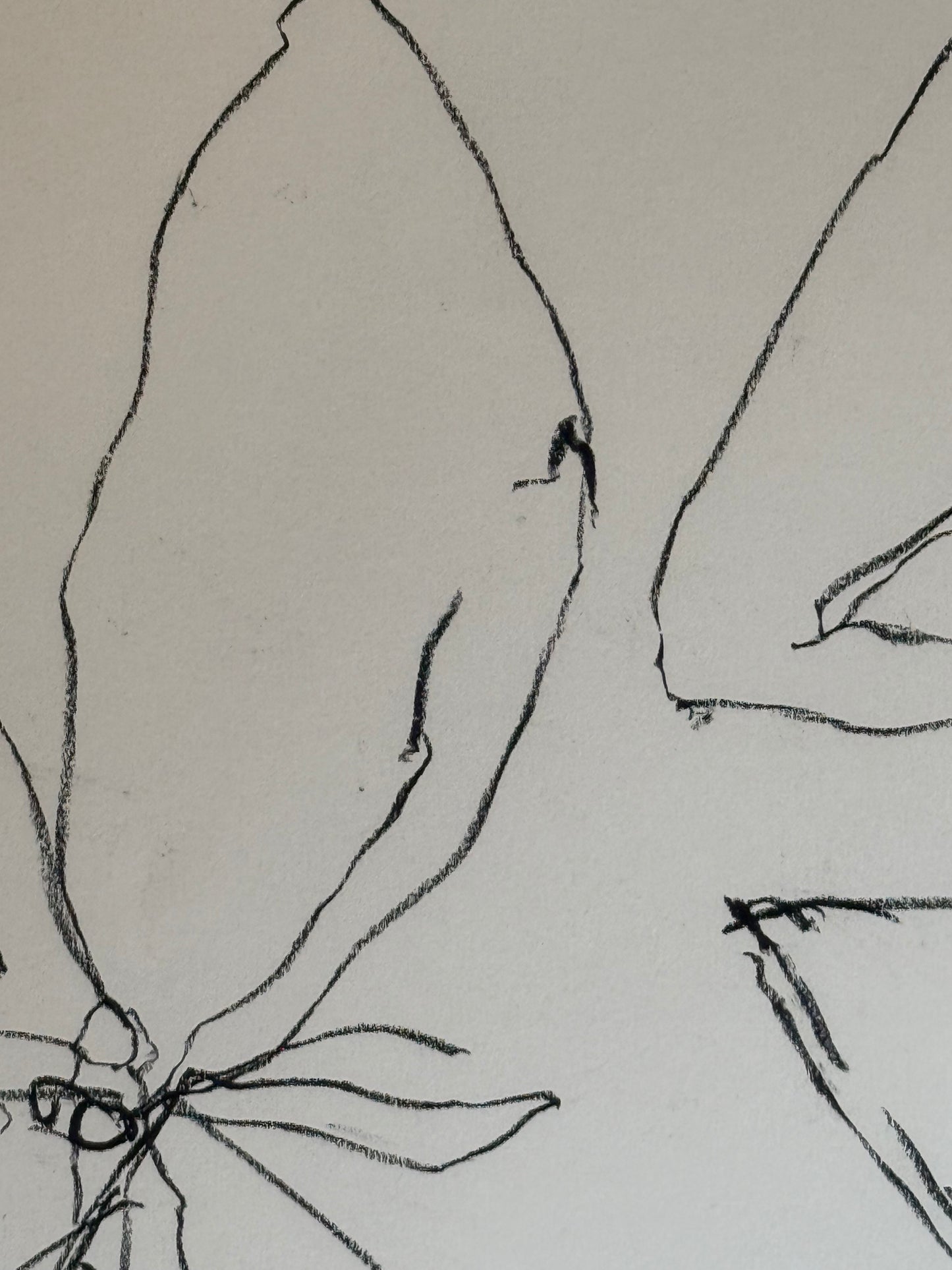 Untitled Drawing, pastel on paper, 30" x 22", 2026