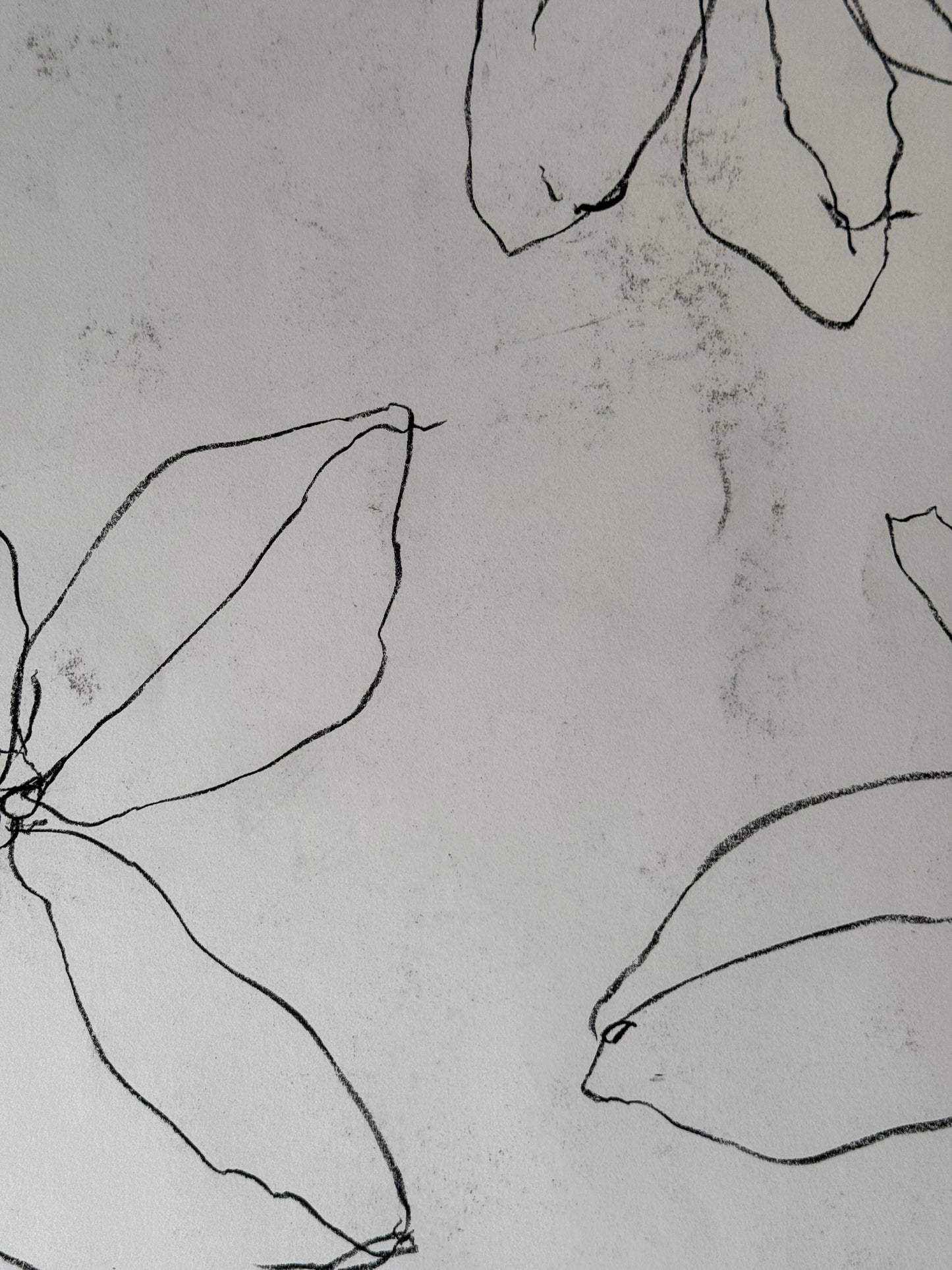 Untitled Drawing, pastel on paper, 30" x 22", 2026