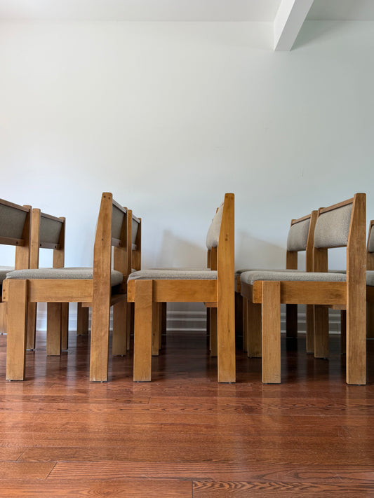 75 x Beechwood Dining Chairs