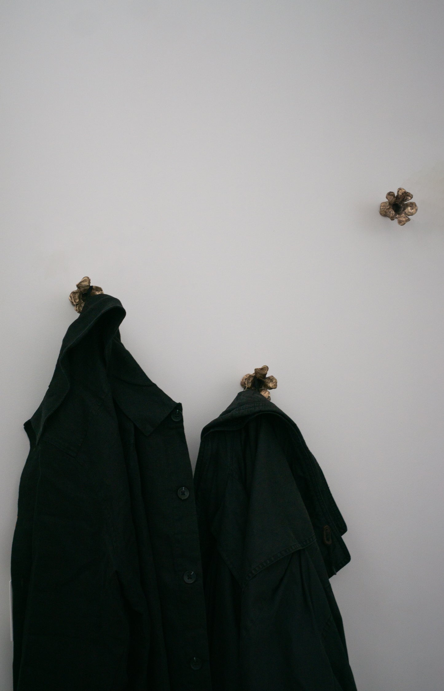 Flower Coat Hooks