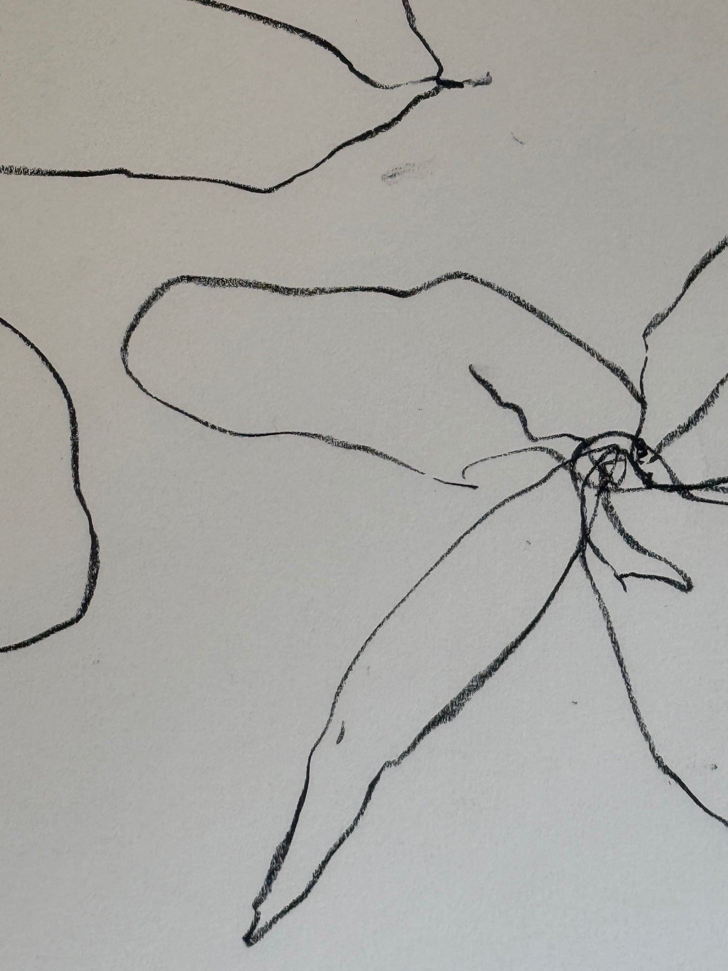 Untitled Drawing, pastel on paper, 30" x 22", 2026
