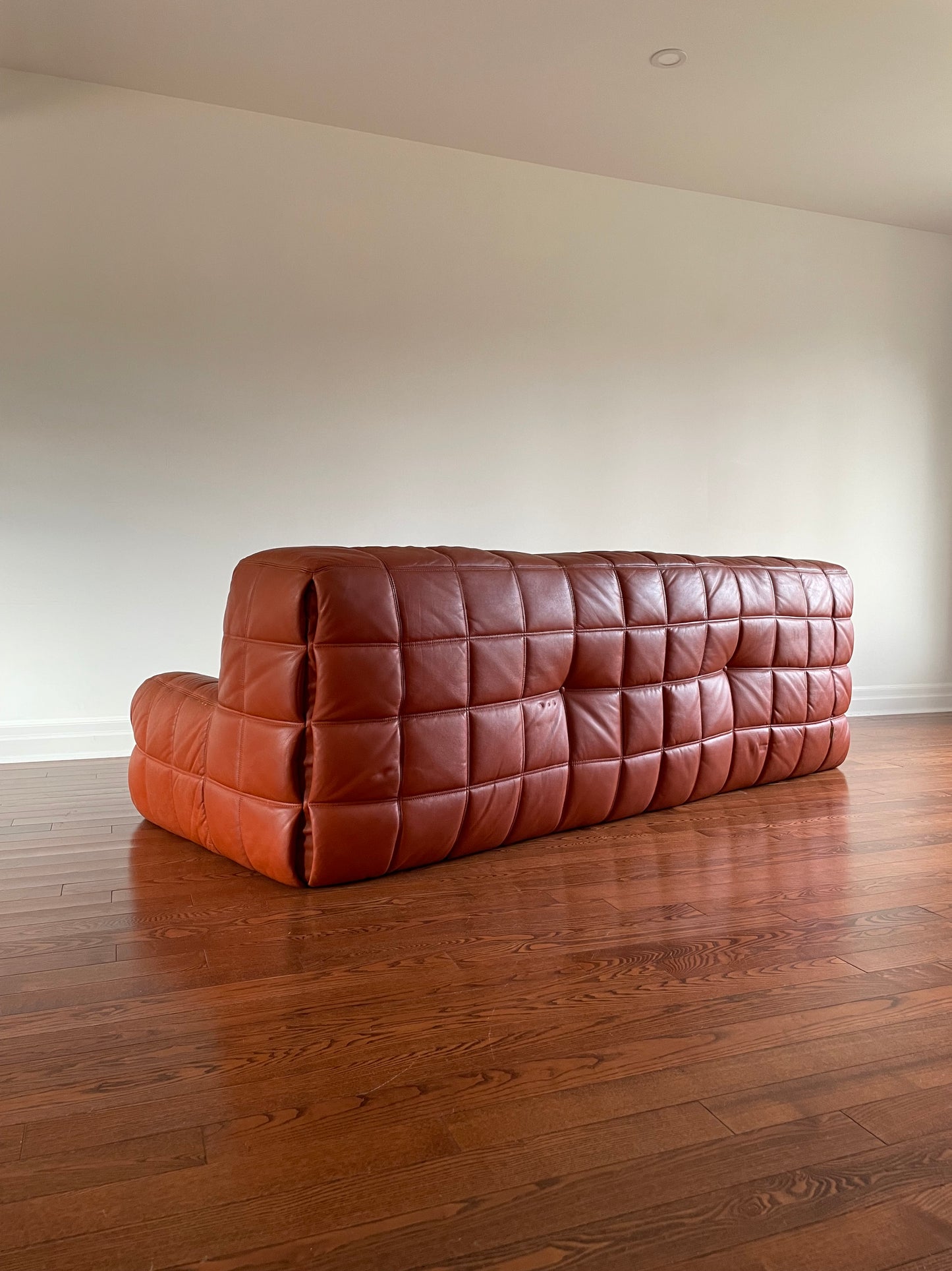 Leather Kashima Sofa by Michel Ducaroy for Ligne Roset